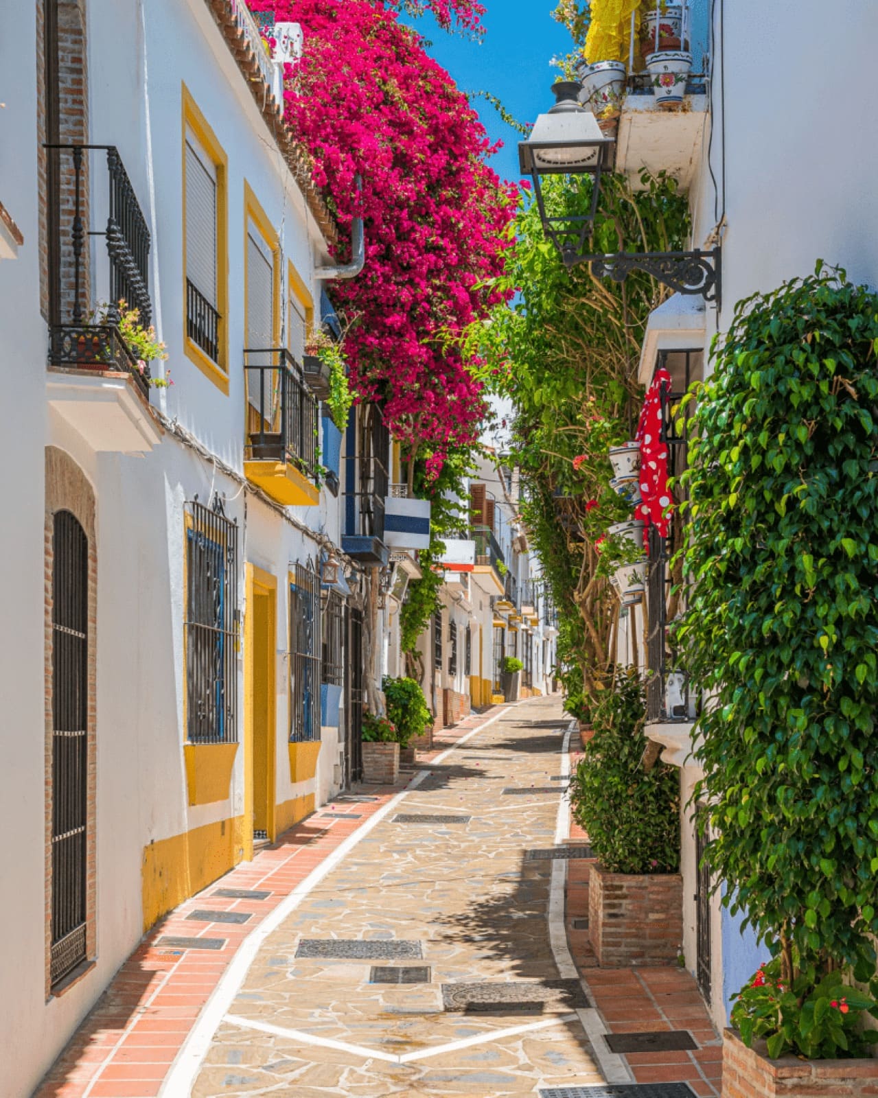 A narrow whitewashed street in Marbella's old town, with yellow window frames, iron balconies, potted plants and pink bougainvillea overhead