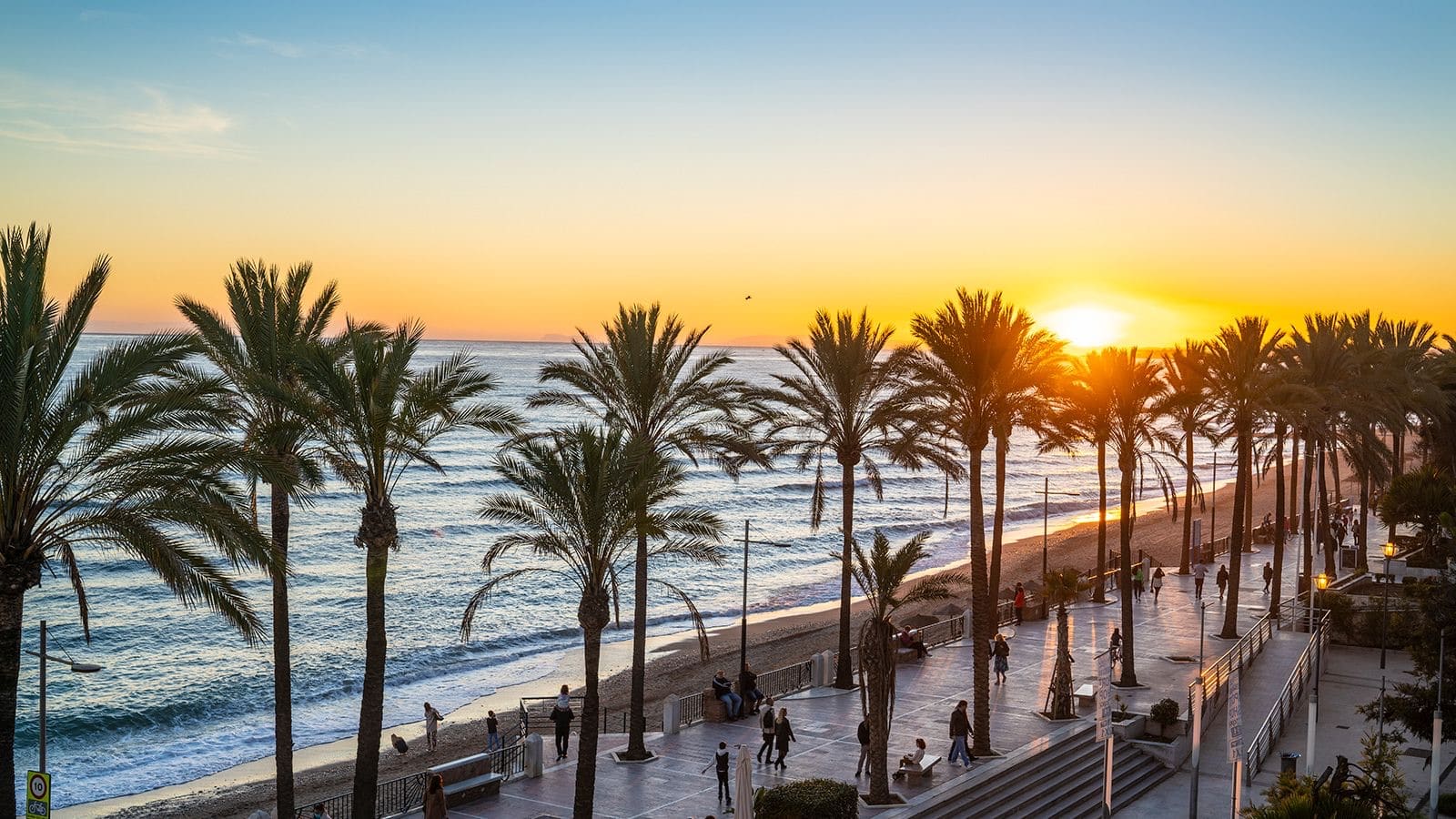 A palm-lined seafront promenade at golden hour on the Costa del Sol