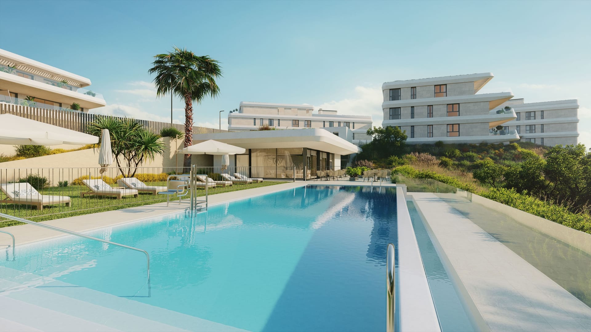 The long outdoor pool, with loungers on the lawn, a palm tree and the apartment buildings above. Australy Aures, La Resina, Estepona.
