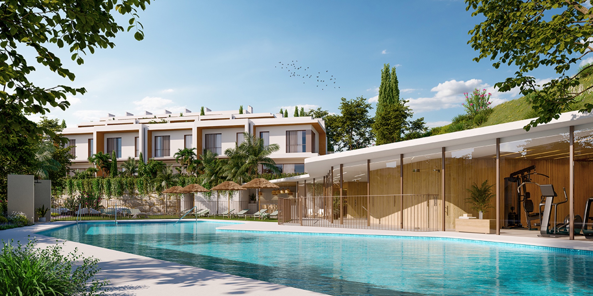 The outdoor pool, with the gym visible through the glass wall behind it. Cala Serena Sun, Ensanche de La Cala, La Cala de Mijas.