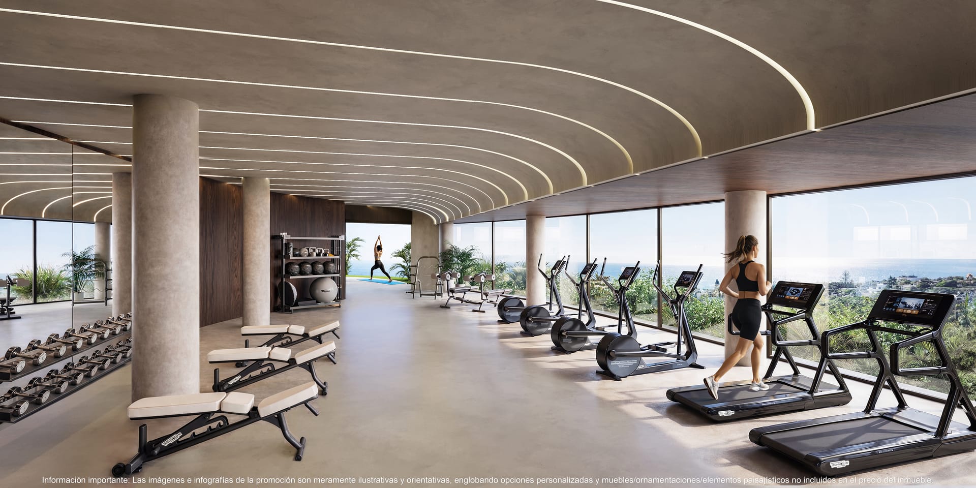 The gym, with glass along one side looking out onto trees. Organic Higuerón, El Higuerón, Fuengirola.