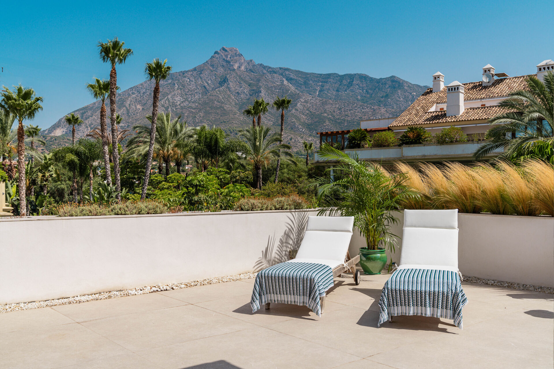Two sun loungers on the open terrace, with palm trees and La Concha mountain beyond the wall.